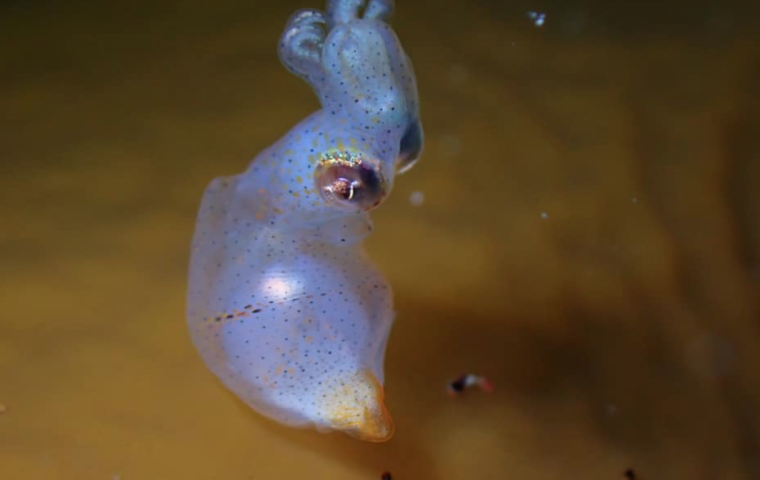 Photo by Satomi Yasuda