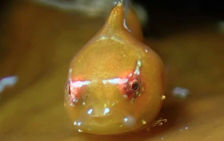 Photo by Satomi Yasuda