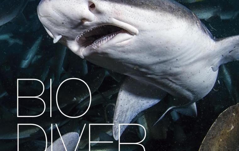 Bio Diversity Diving Spots Japan Page 1