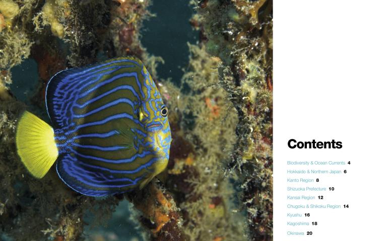 Bio Diversity Diving Spots Japan Page 2
