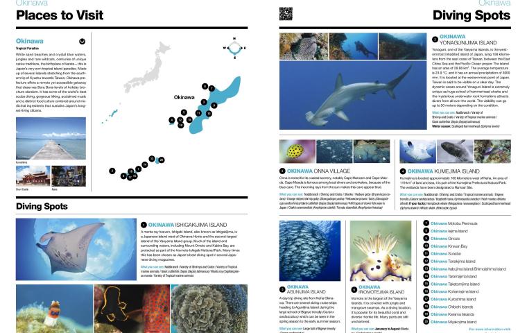 Bio Diversity Diving Spots Japan Page 11