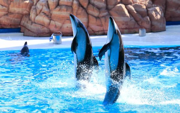 Wakayama Adventure World